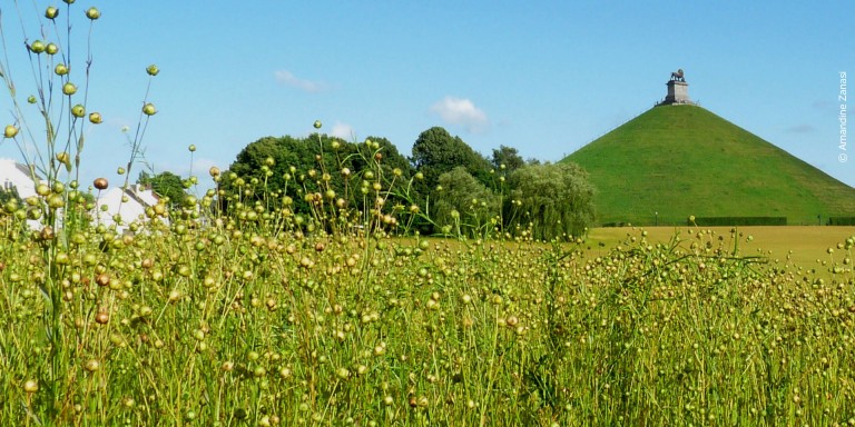 La Butte du Lion